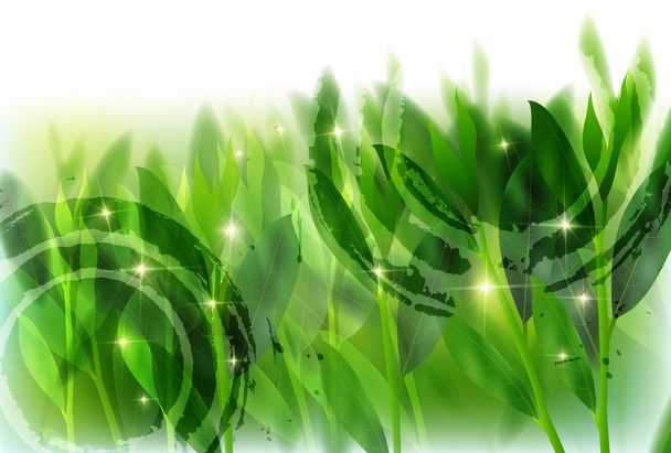 zöld tea levelek háttér - Vektor, kép