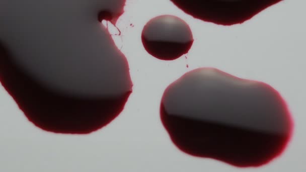 blood drop falls on the floor. macro shot. - Felvétel, videó