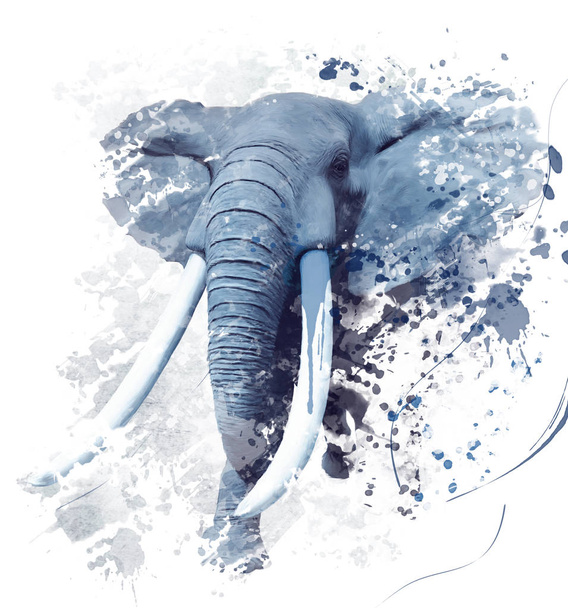  Слон портрет акварель
 - Фото, зображення
