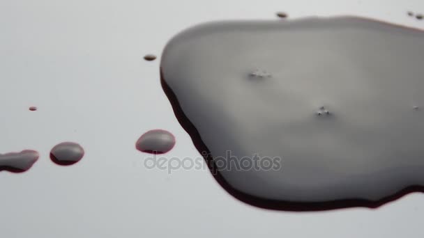 blood drop falls on the floor. macro shot. - Footage, Video