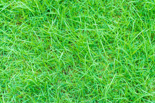 Green grass for background. - Φωτογραφία, εικόνα