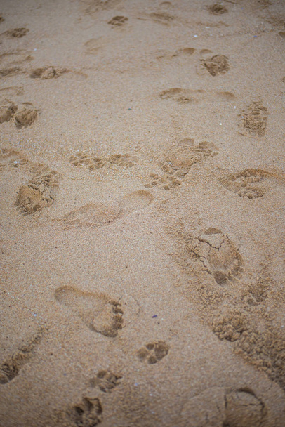 Fußabdrücke am Strand - Foto, Bild