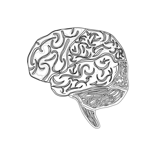 symbol ludzkiego mózgu - Wektor, obraz