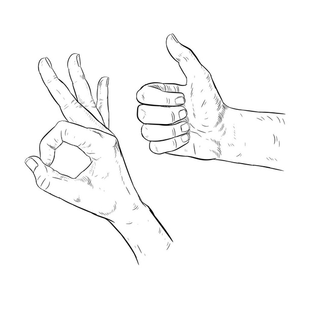 Mão desenhada gesto OK. Polegares para cima. Consentimento. Ilustração vetorial
 - Vetor, Imagem