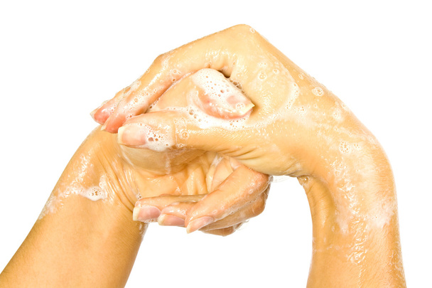 Seife weibliche Hände - Foto, Bild