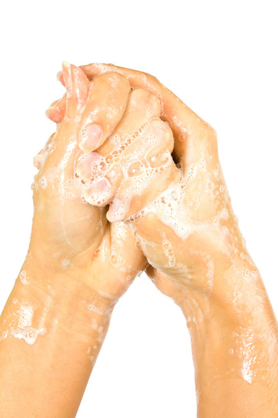 szappan női kezek - Fotó, kép
