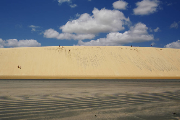ジェリーコア コアラに近い大きな砂丘 - 写真・画像