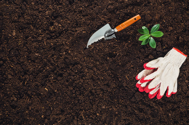 Gardening tools on garden soil texture background top view - Foto, afbeelding