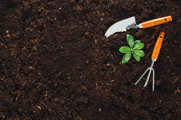 Gardening tools on garden soil texture background top view - Foto, Imagen