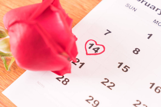 rose on the calendar with the date of February 14 Valentine's da - Foto, immagini