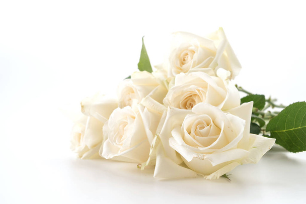 white rose on white - Foto, imagen
