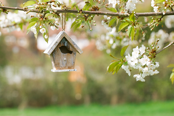 Pequena casa de pássaros de madeira
 - Foto, Imagem