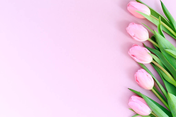 Pink tulips on the pink background. Flat lay, top view.  Valenti - Valokuva, kuva