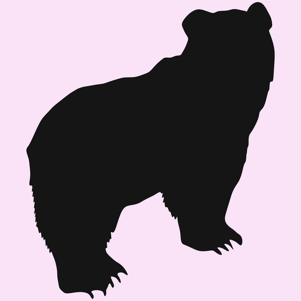  Big bear silhouette - Vector, Image