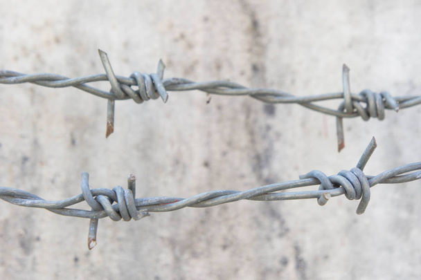 Barbed wire on the wall or protected territory. - Photo, Image