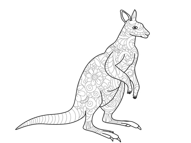 kangoeroe kleurplaten boek voor volwassenen vectorillustratie - Vector, afbeelding