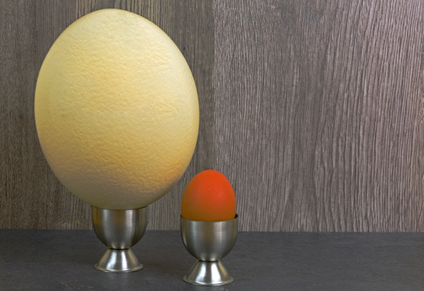 Comparison of chicken egg and ostrich eggs - Photo, Image