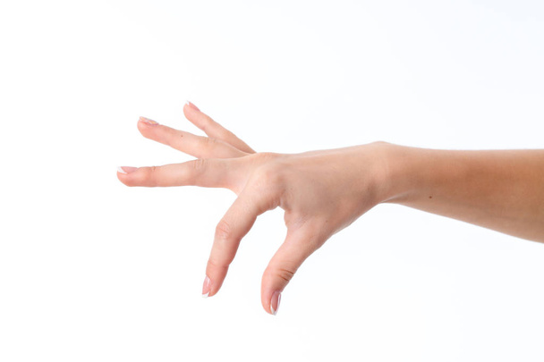 main féminine montrant le geste avec les doigts est isolé sur un fond blanc
 - Photo, image