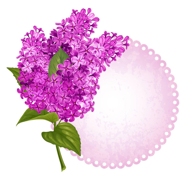 Greeting card with lilac - Vector, Image