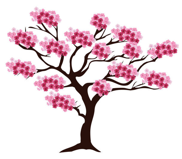 vector cherry tree - Διάνυσμα, εικόνα