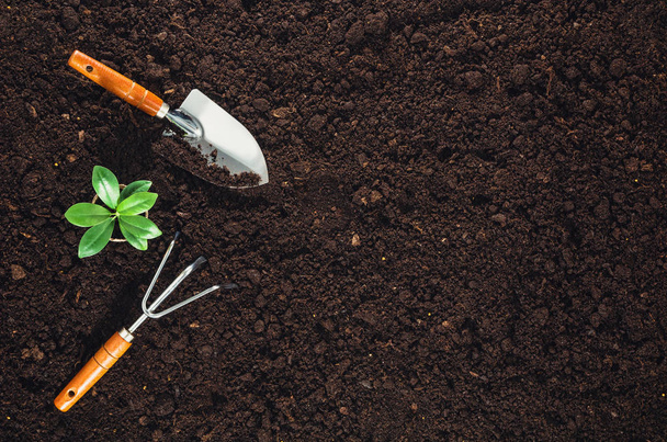Gardening tools on garden soil texture background top view - Фото, изображение