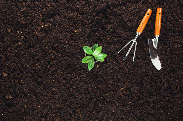 Gardening tools on garden soil texture background top view - Φωτογραφία, εικόνα