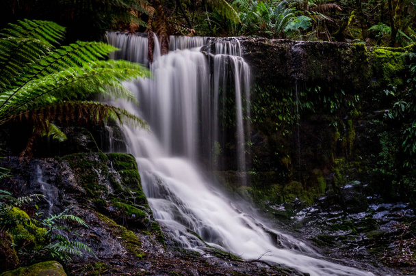 Horseshoe Falls, Mt. oblasti národního parku, Tasmánie, Austrálie - Fotografie, Obrázek