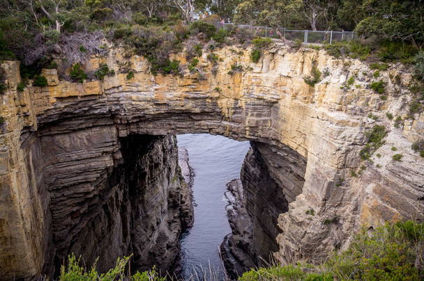 Tasman Arch, Tasman National Park, Tasmanië, Australië - Foto, afbeelding