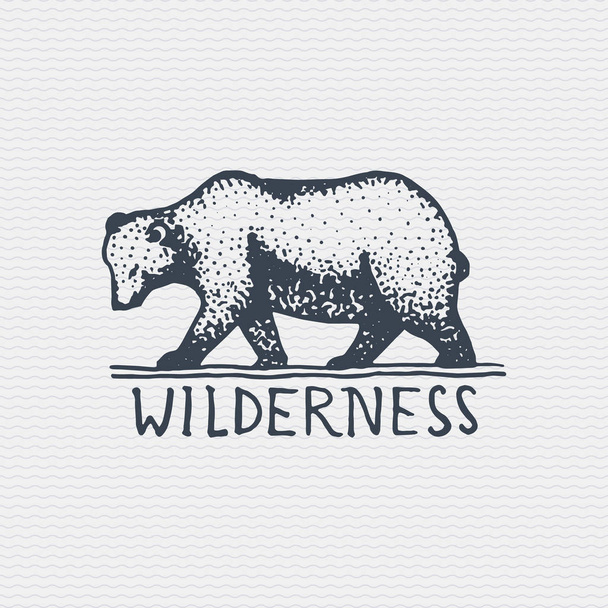 vintage old logo or badge, label engraved and old hand drawn style with wild grizzly bear - Vector, Image