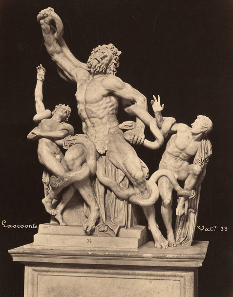 Foto de la vendimia Laocoon escultura en el museo del Vaticano, Laocoon y sus hijos 1860
 - Foto, Imagen