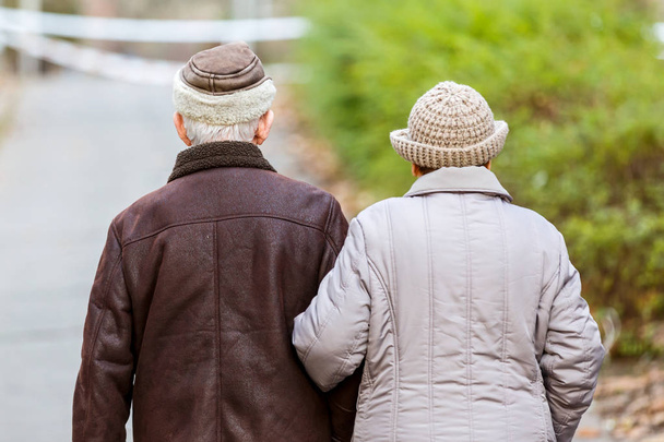 Elderly couple walking in the park - Foto, immagini