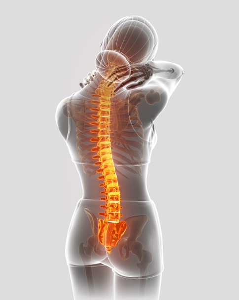 3D Illustration of Female Feeling the back pain - Photo, Image