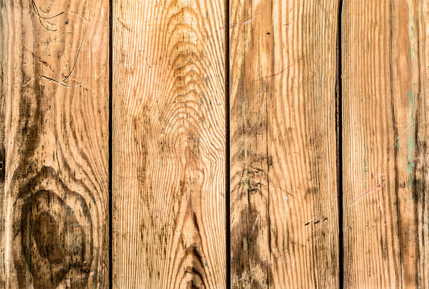 Background, wooden texture from wood - 写真・画像