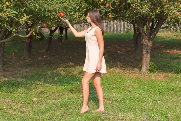 Όμορφη νεαρή γυναίκα το περπάτημα σε οπωρώνα μήλα  - Φωτογραφία, εικόνα