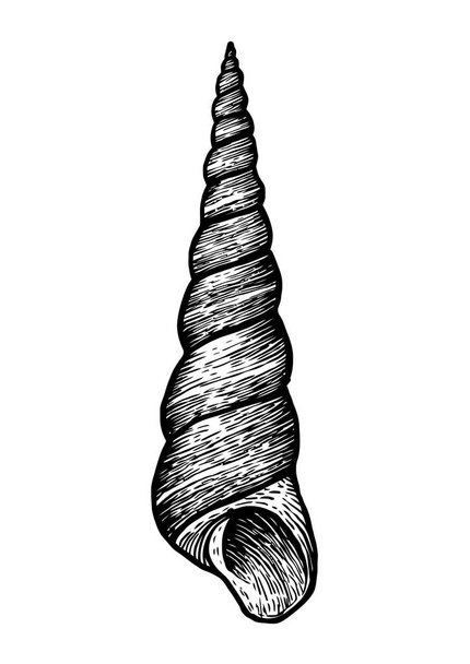 Tower, shell illustration, drawing, engraving, ink, realistic - Διάνυσμα, εικόνα