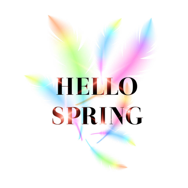 Hello Spring, bright bird feathers on a white background. - Vector, Image