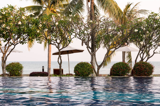 Kokosowe drzewo i krzesła wokół odkrytego basenu w hotelu res - Zdjęcie, obraz