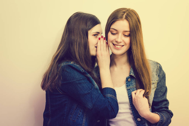 Two beautiful teenage girl friends whispering secret to each other on white background - Фото, изображение