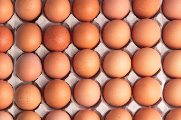 Top view of opened box of brown chicken eggs forbackground. - Photo, image
