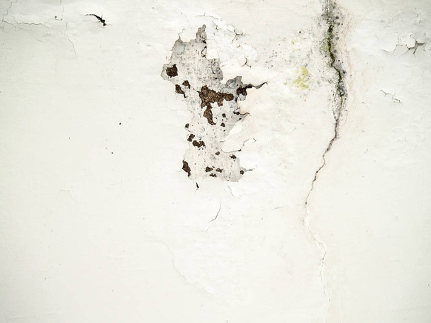 Textura de pared blanca
 - Foto, Imagen