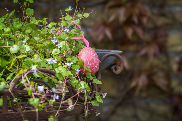 Lovely composition with Easter pink egg and gracefully plant. - Photo, Image