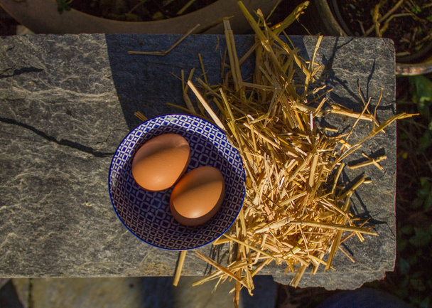 Morning in countryside, two eggs in a bowl with straw - Photo, Image