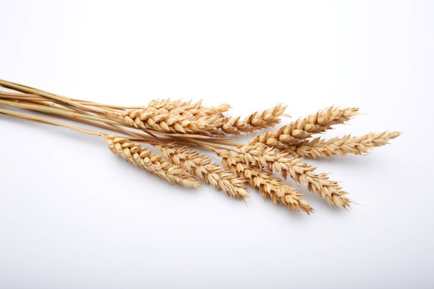 plantas de cereales secos
  - Foto, Imagen