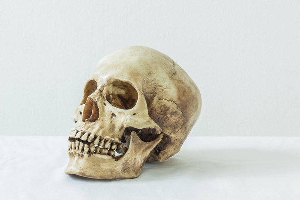 Crâne humain sur fond blanc  - Photo, image