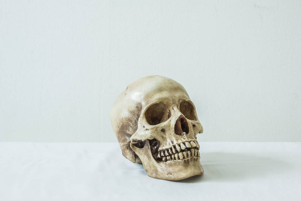 Emberi koponya fehér alapon  - Fotó, kép