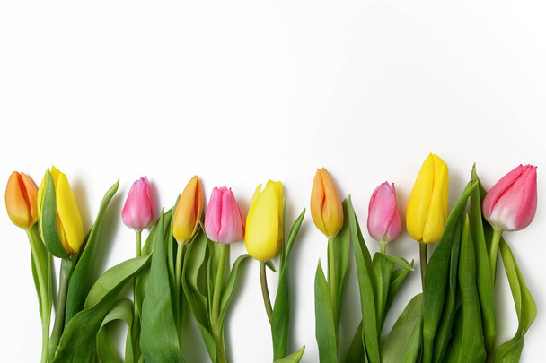Orange, yellow and pink tulips on white - 写真・画像