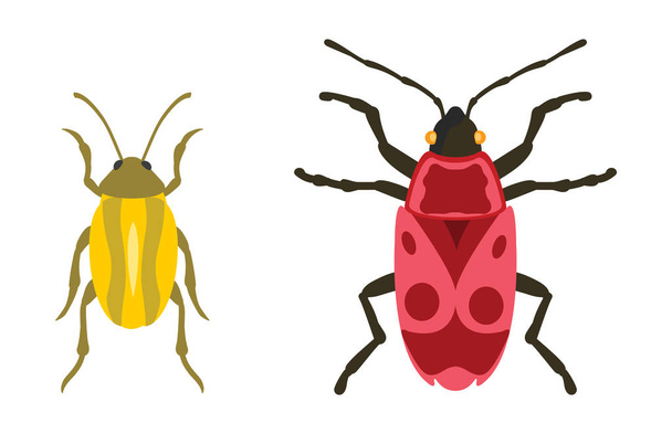 Insect icon flat isolated vector illustration. - Vector, Image