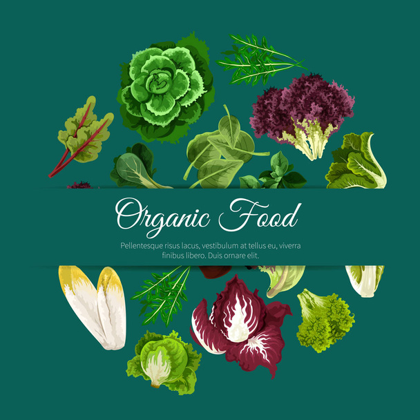 Leafy salads vegetables vector poster - Vector, Image