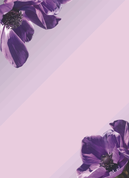 Plantilla de ilustrador de invitación de flor anémona púrpura
  - Foto, imagen