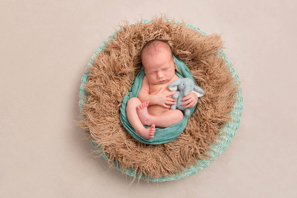 Baby and his toy in a nest, topview - Foto, afbeelding